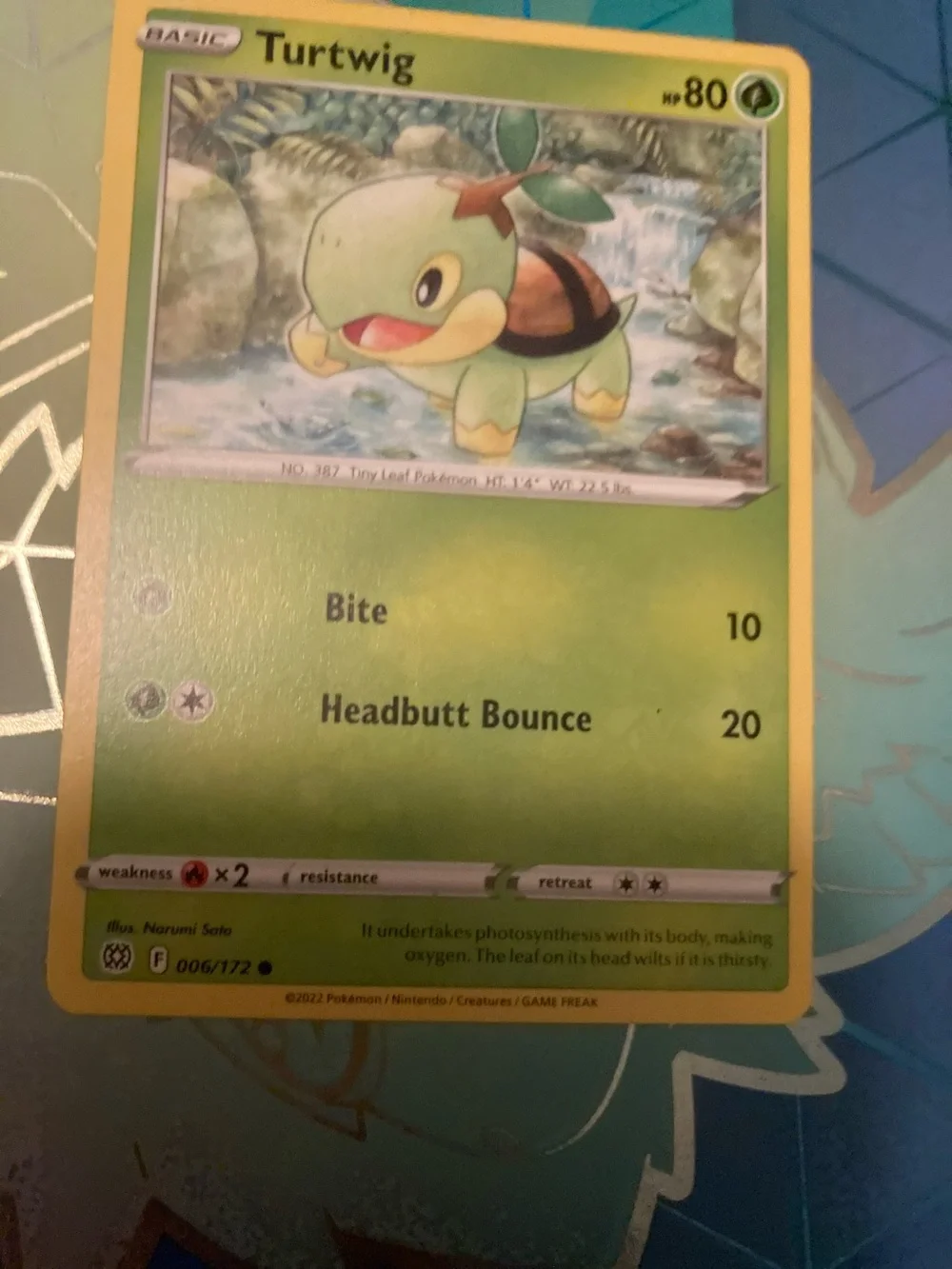 Pokemon Turtwig Card – Green & Yellow